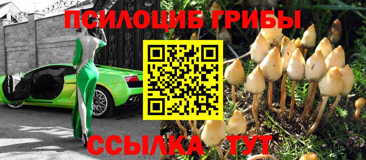Рязань  Псилоцибиновые грибы GOLDEN TEACHER  Вход с VPN 